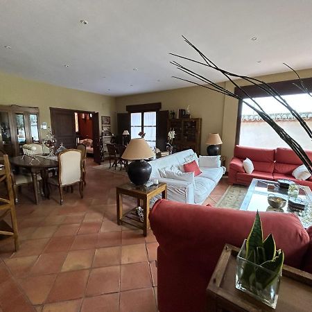 La Flor Del Granado Villa Torrijos Ngoại thất bức ảnh